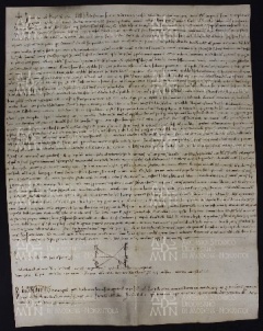 38 B.12.XXXVIIIr, Privilegio di Corrado II, col quale conferma a Ingone vescovo il possesso di vari beni, Cremona, [1026, giu. 18-19]
